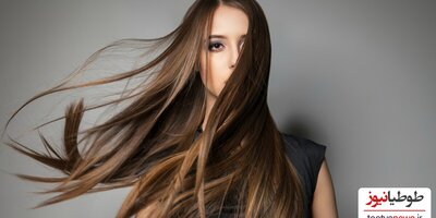 طرز تهیه 5 نرم کننده طبیعی مو که موها را ابریشمی می کند!
