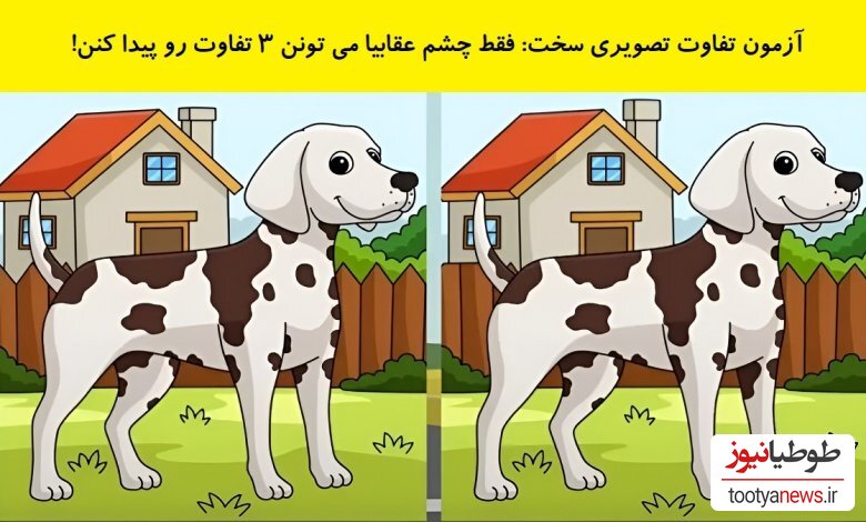 تفاوت تصویری سگ خالدار