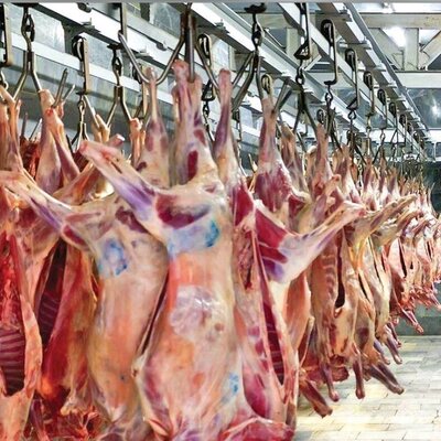 برنامه دولت برای ارزان کردن گوشت/ جدیدترین وضعیت بازار گوشت قرمز