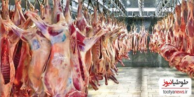برنامه دولت برای ارزان کردن گوشت/ جدیدترین وضعیت بازار گوشت قرمز