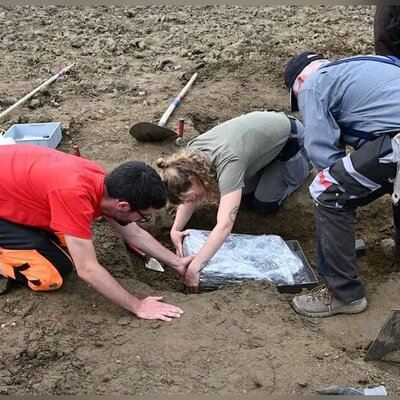 (تصاویر) کشف گنجینۀ مرموز 3500 ساله در یک مزرعۀ هویج
