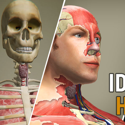 دانلود بازی Idle Human برای اندروید و IOS