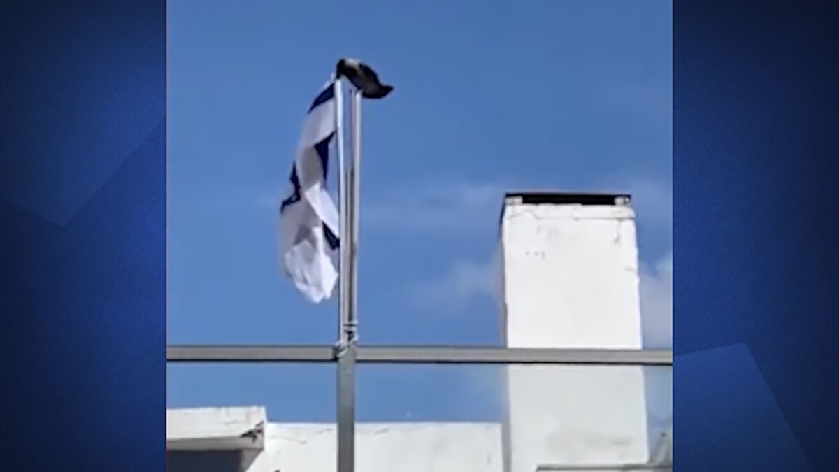 (فیلم) یک کلاغ پرچم اسرائیل را به زیر کشید!
