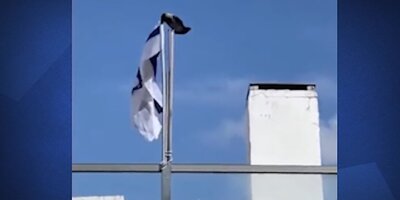 (فیلم) یک کلاغ پرچم اسرائیل را به زیر کشید!